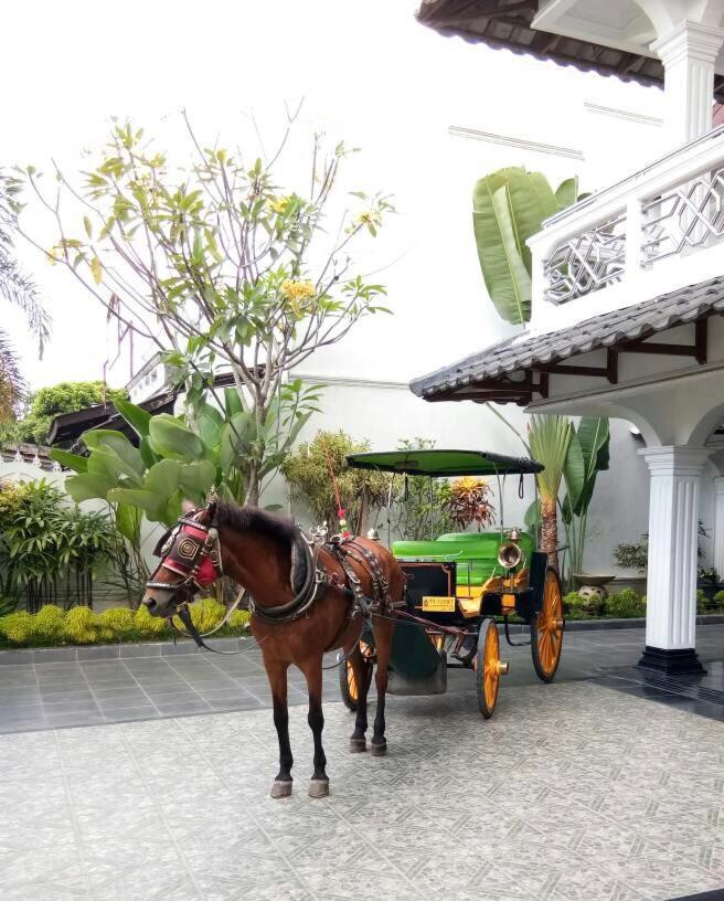 Raintree Boutique Villa & Gallery Yogyakarta Eksteriør bilde